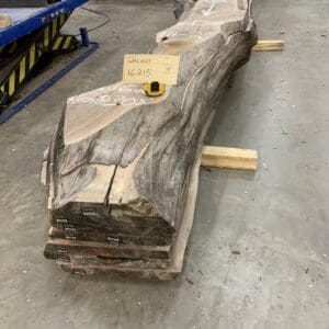 Walnut Log # 16215 - 9 - 10 FT