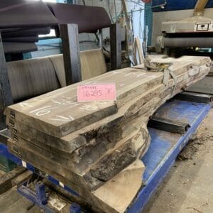 Walnut Log # 16295  6-7 FT