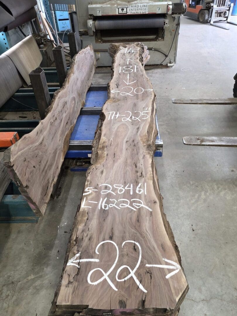Walnut # 16222 11-15 FT - Image 2