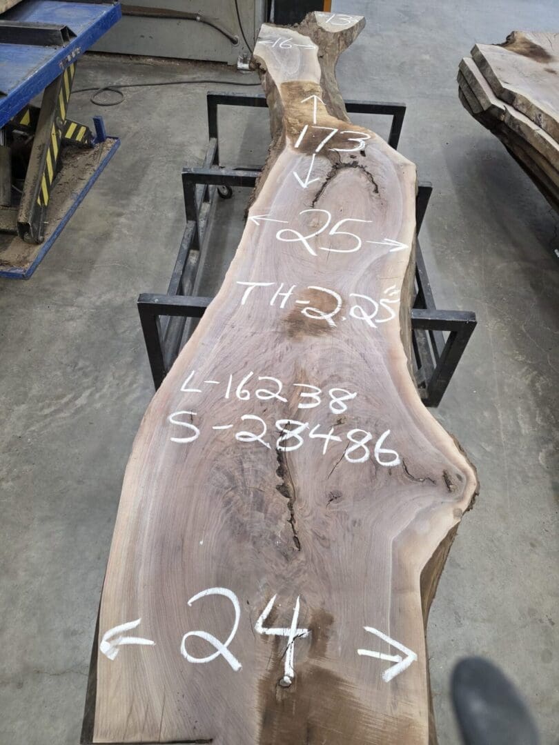 Walnut # 16238 8-14 FT - Image 3