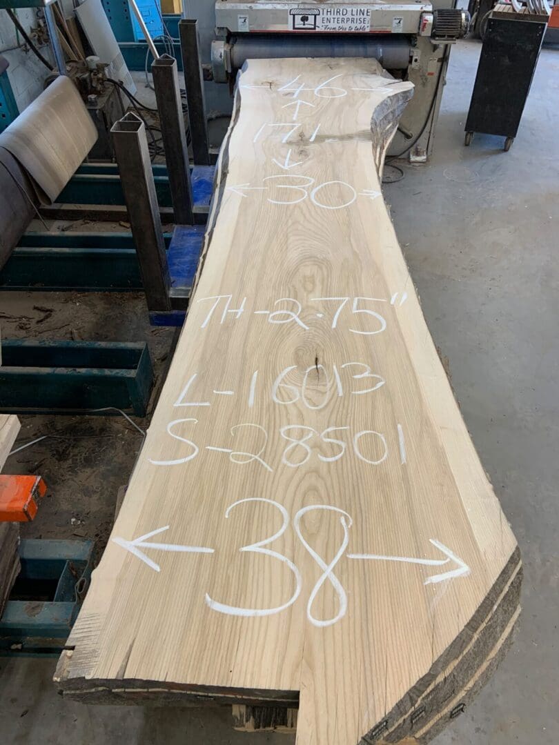 Long live-edge wood slab with chalk measurements