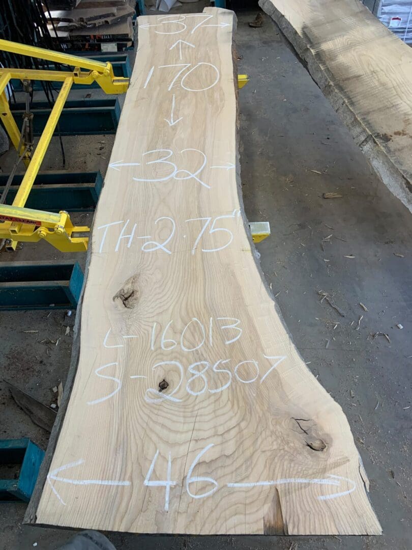 Live-edge wood slab with chalk measurements
