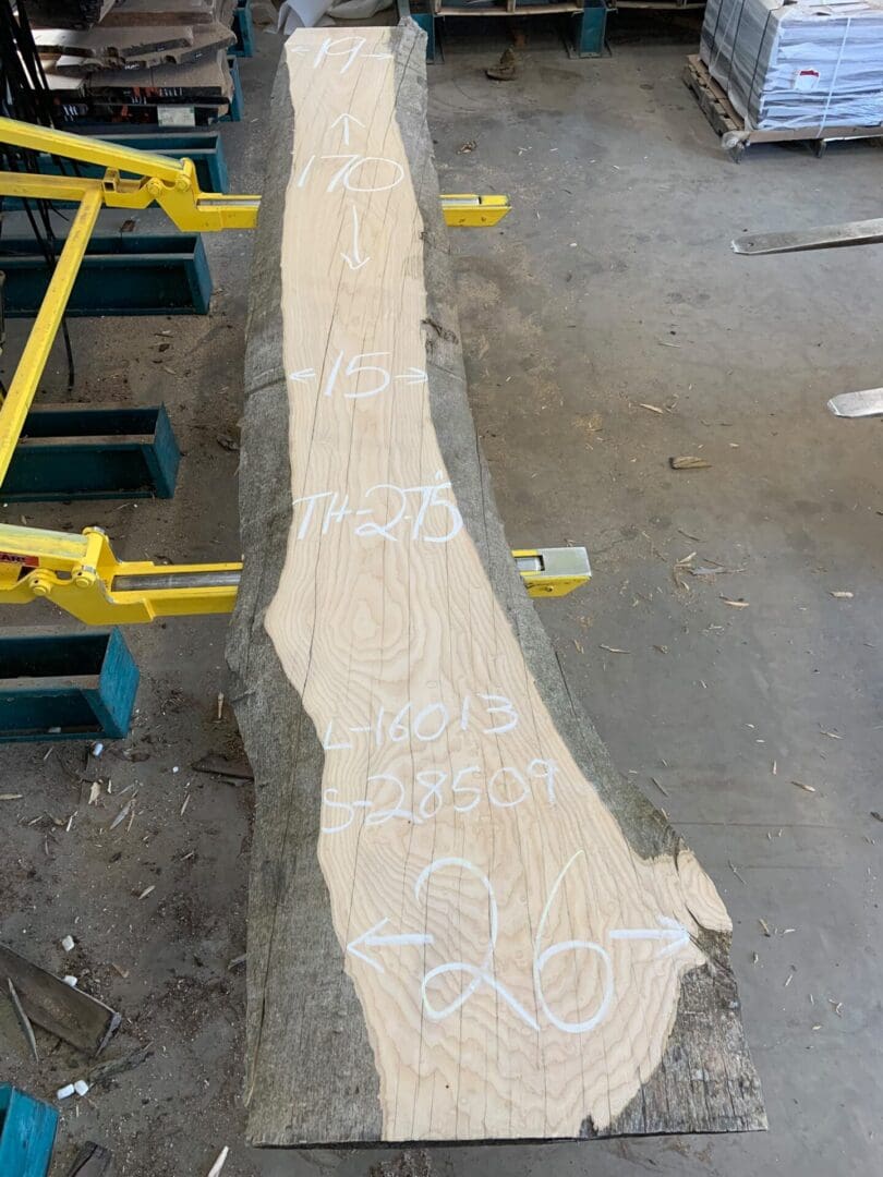 Live-edge wood slab with chalk measurements